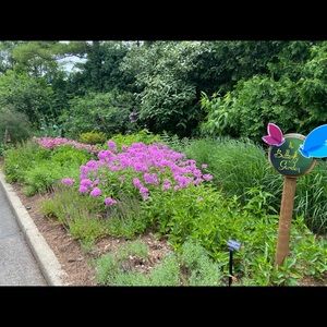 Meet your Posher, Haejin